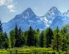 深圳环球*国际控股有限公司