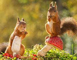 广州市*嘉科技有限责任公司